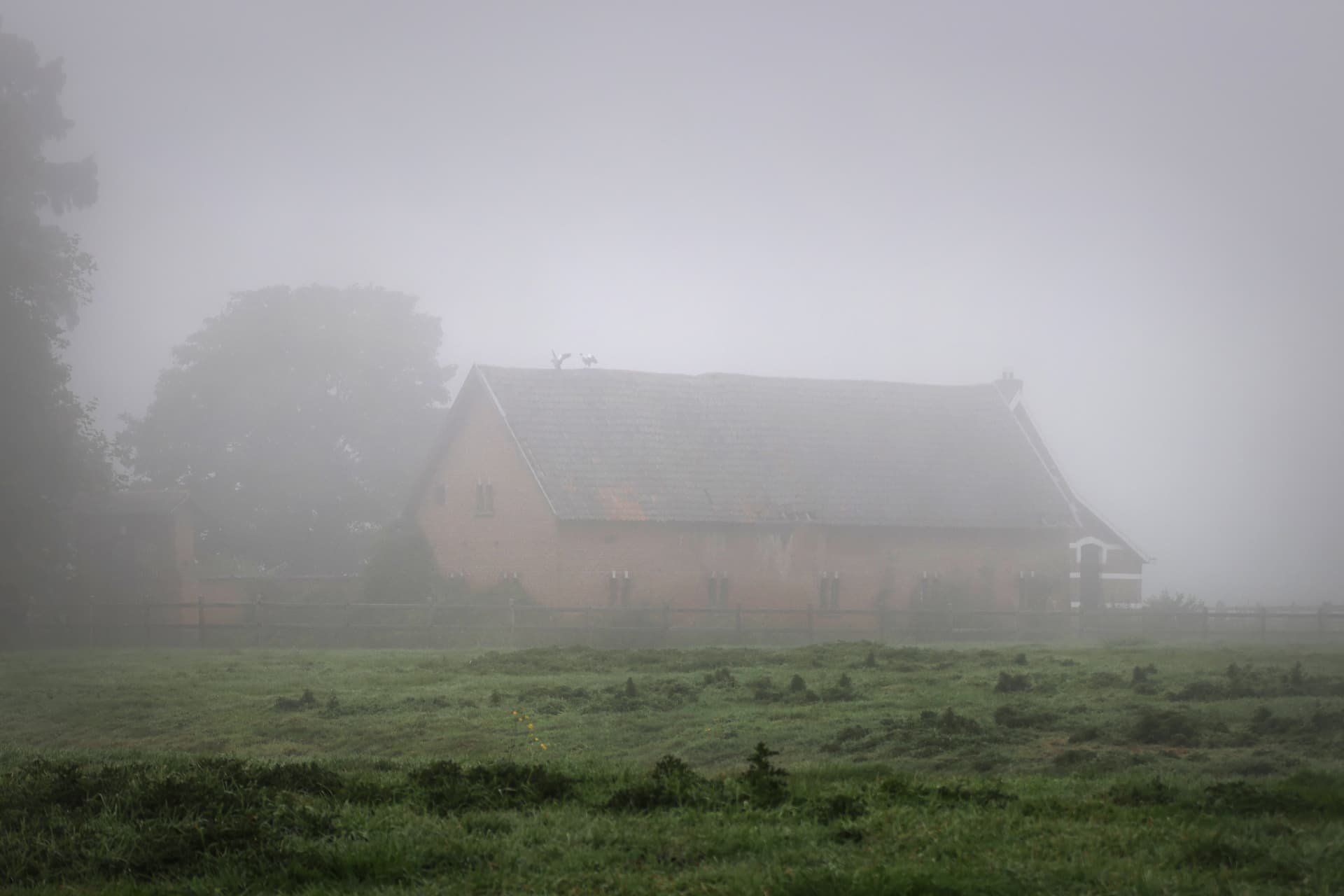 De hoeve aan De Spaerlaer, half verscholen in de mist
