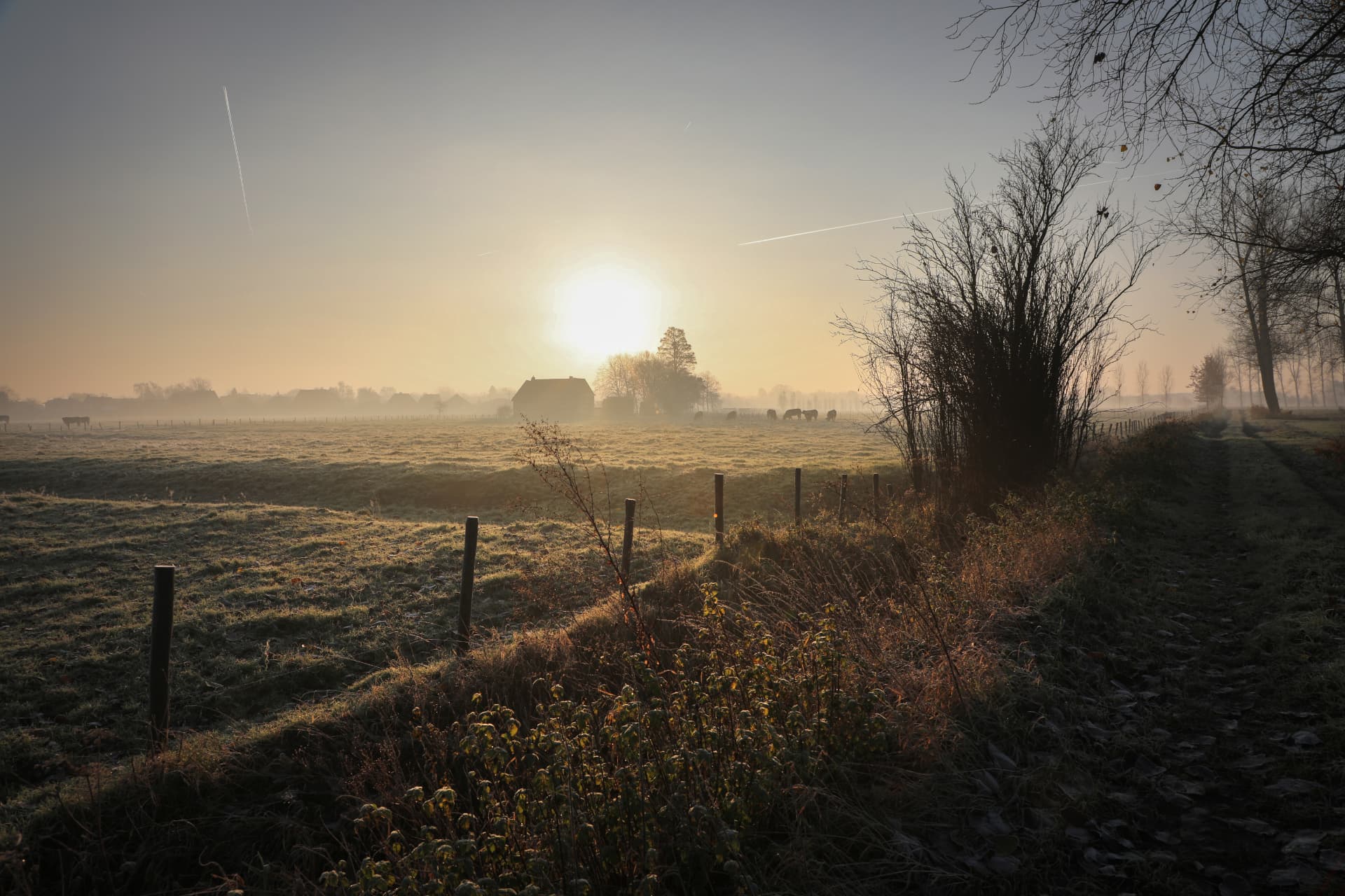 Mist over de velden met de horizon en een hoeve in de verte