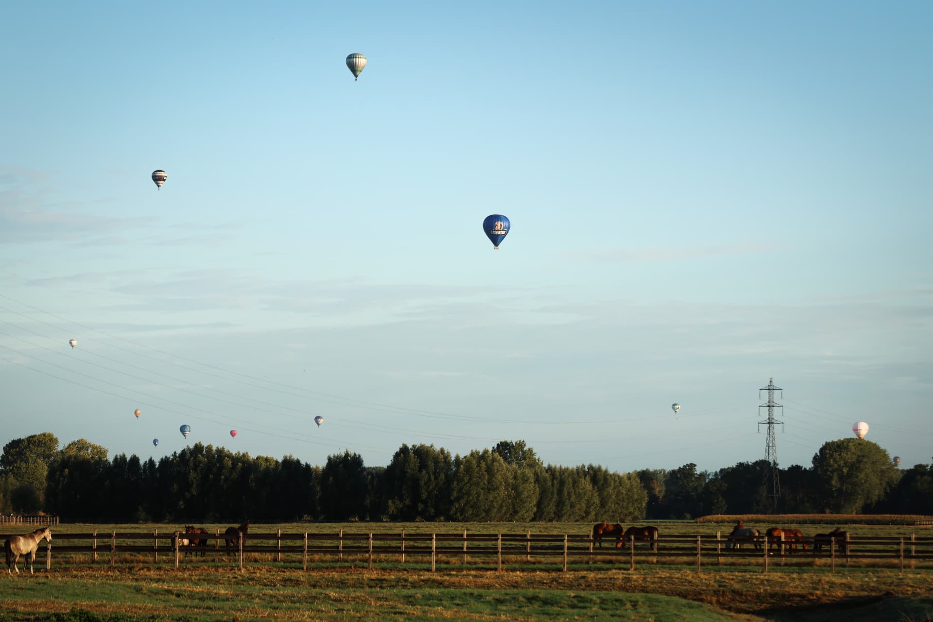 Ballonnen boven de weides en boomrijen van De Spaerlaer