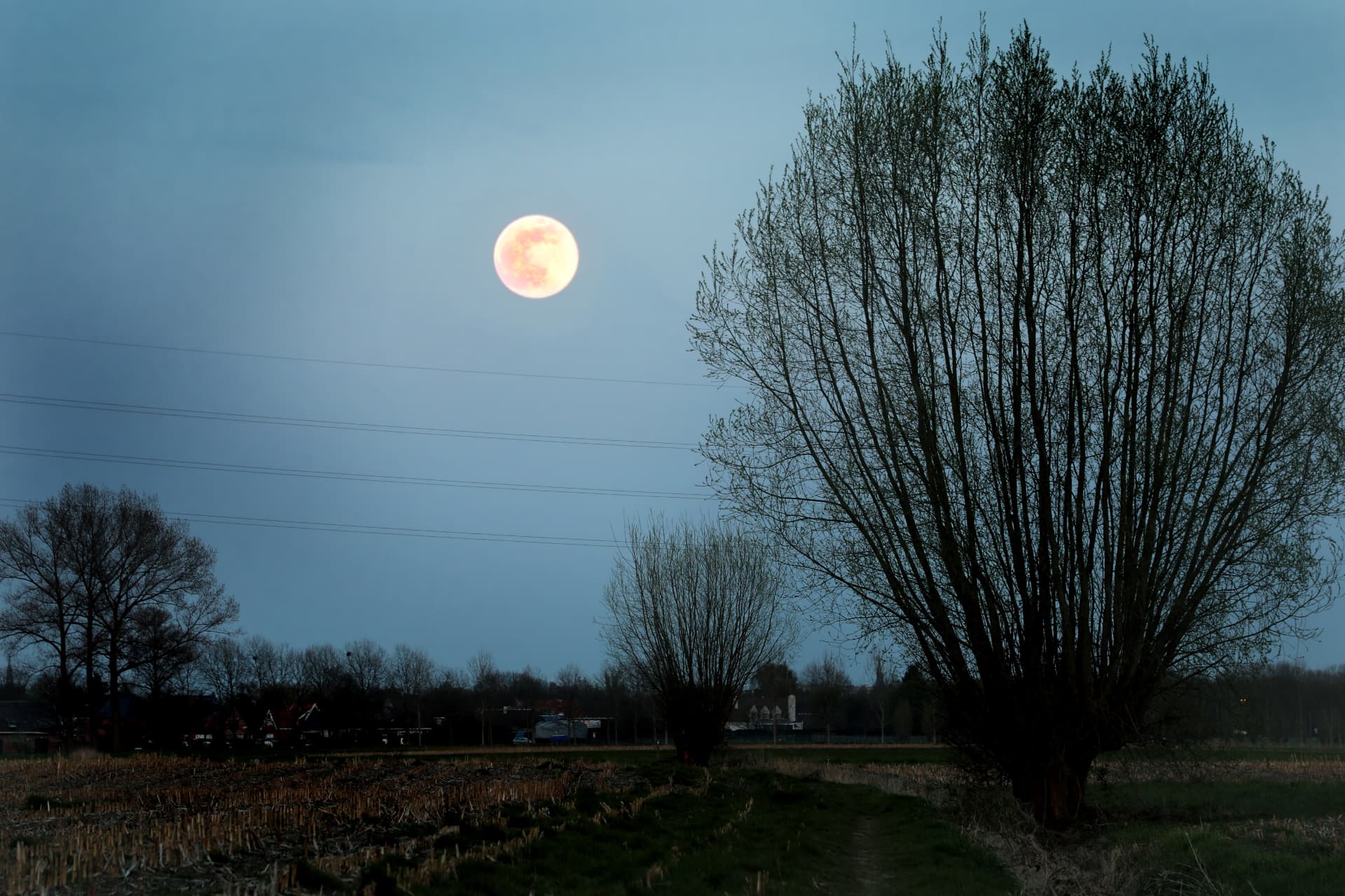 Volle maan boven het open landschap van De Spaerlaer, in het vroege voorjaar