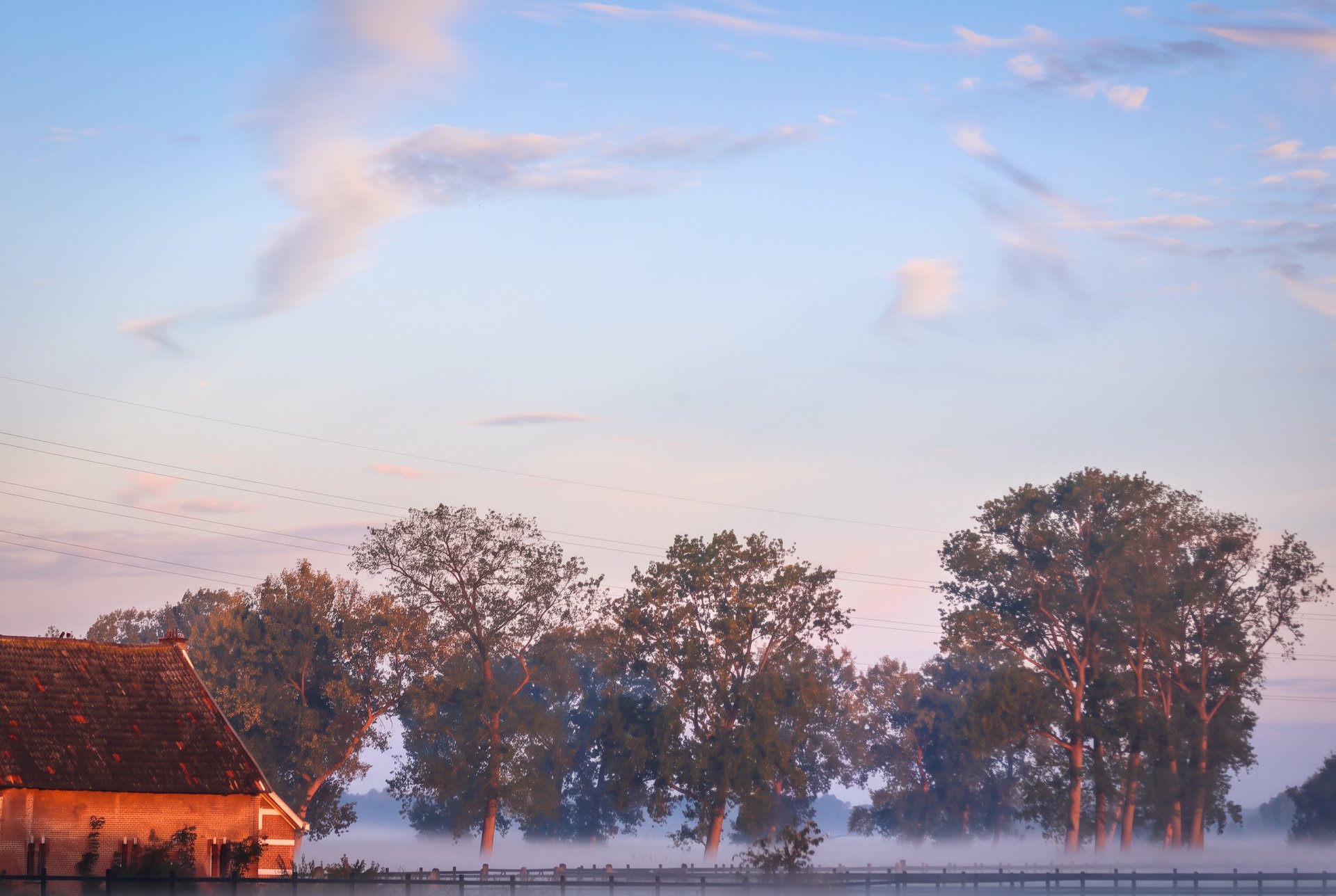 Een hoeve en bomen aan de rand van het open landschap, in het zachte licht van de ochtend